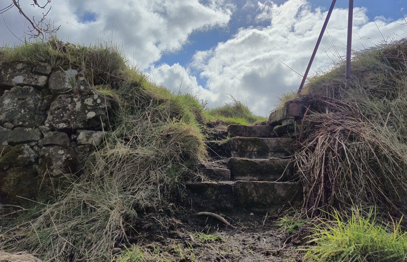 Stone steps rising through grass and old masonry towards open sky.